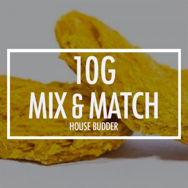 house budder bg copy