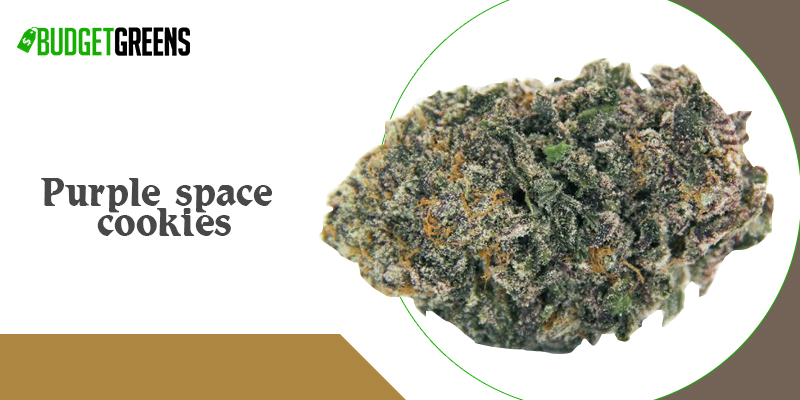 purple space cookies