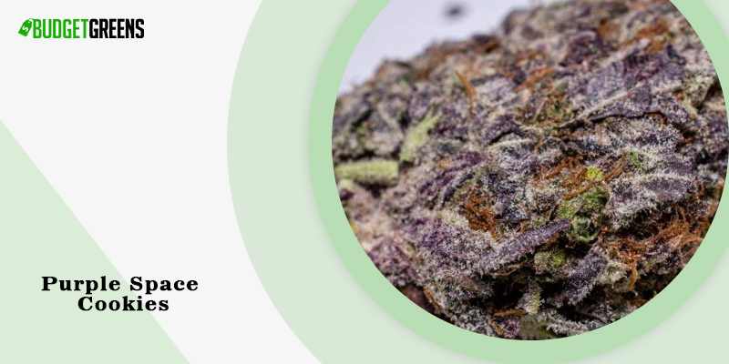 Purple Space Cookies