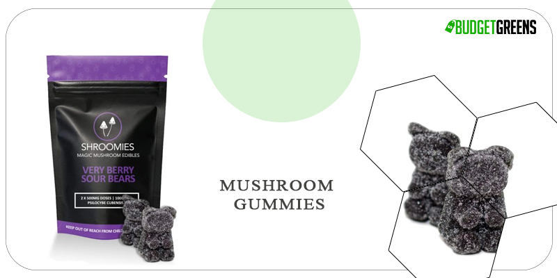 mushroom gummies