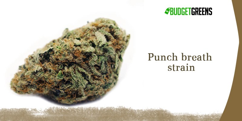 punch breath strain