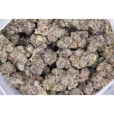 Grape Gasoline AAAA (1)