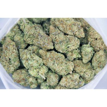 snowcone aaaabag bgbso