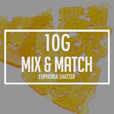 budgetgreens mixers 1