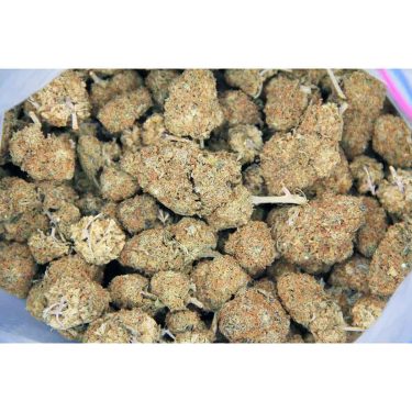 Chocolate AA bag bgbso