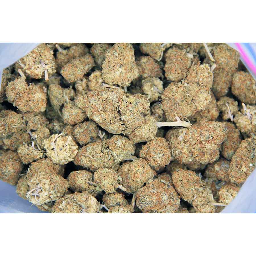 Chocolate AA bag bgbso