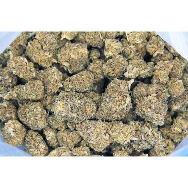 White Berry AA bag bgbso