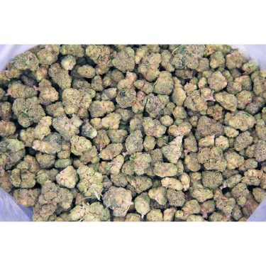 Durban Poison (popcorn) AAA bag bgbso