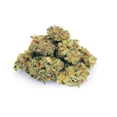 Girl Scout Cookies (mediums) AA bgbso