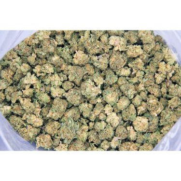 Island Sweet Skunk (popcorn) AA bag bgbso