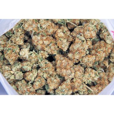 King Congo AA bag bgbso