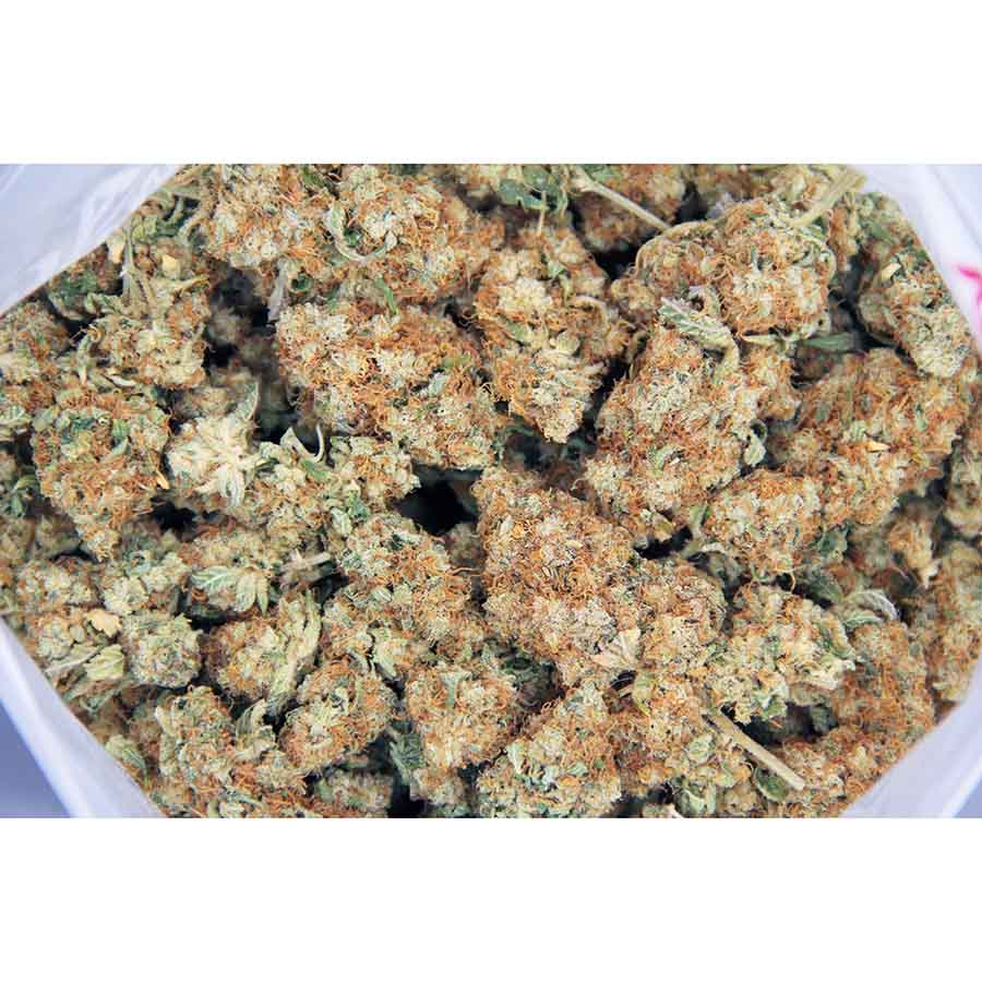 King Congo AA bag bgbso