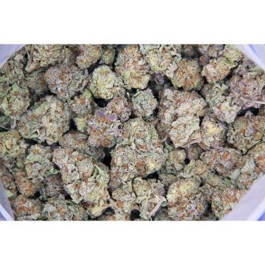 Pink Gorilla bag bgso