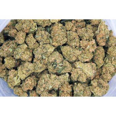Lemon Sour Diesel AA bag bgbso