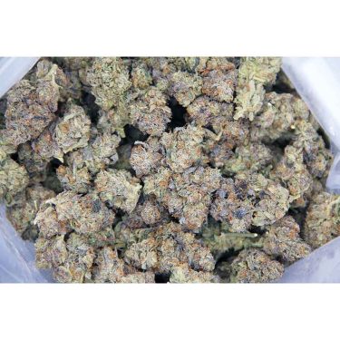 UBC Chemo AAAA bag bgbso