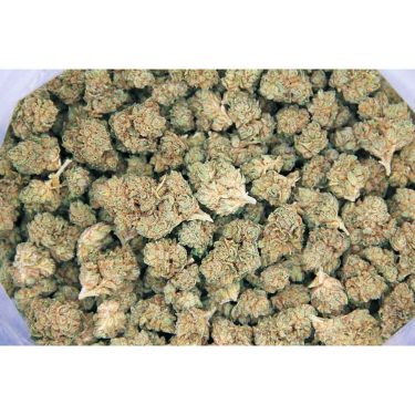 Bay 11 (smalls) AA bag bgbsp