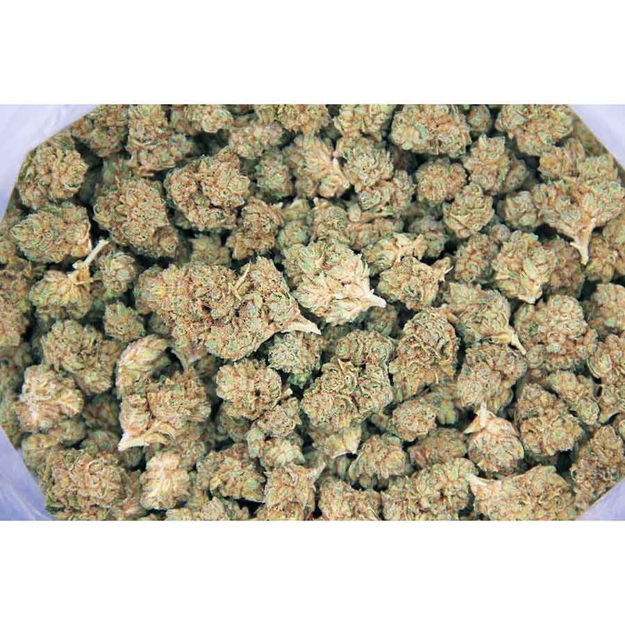 Bay 11 (smalls) AA bag bgbsp