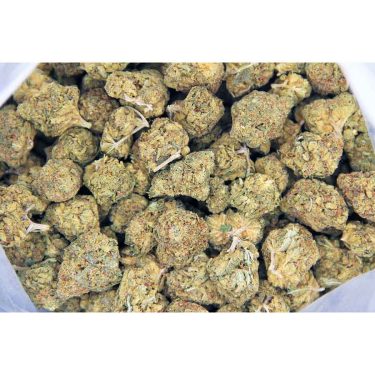 Dr. Bubba AA bag bgbso