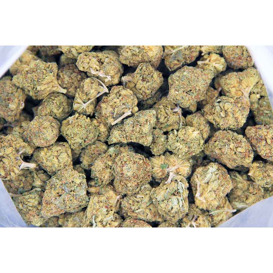 Dr. Bubba AA bag bgbso