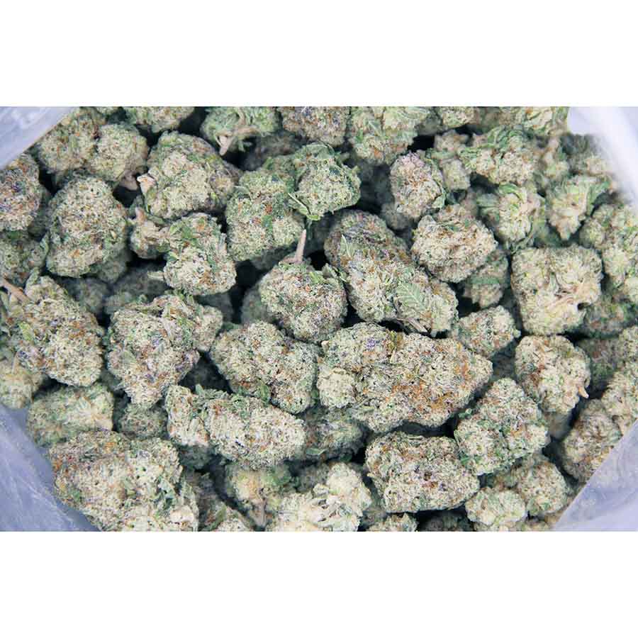 Go Time AAAA bag bgbso