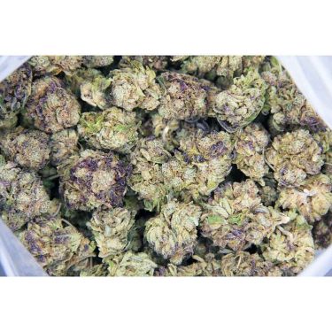 Purple Punch AA bagbgbso