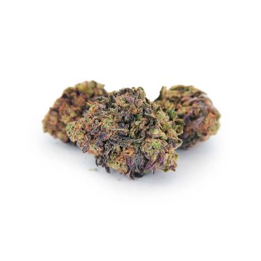 Purple Punch AA bgbso