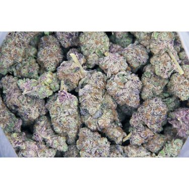 Blackberry Snow Cone AAAA bag bgbso