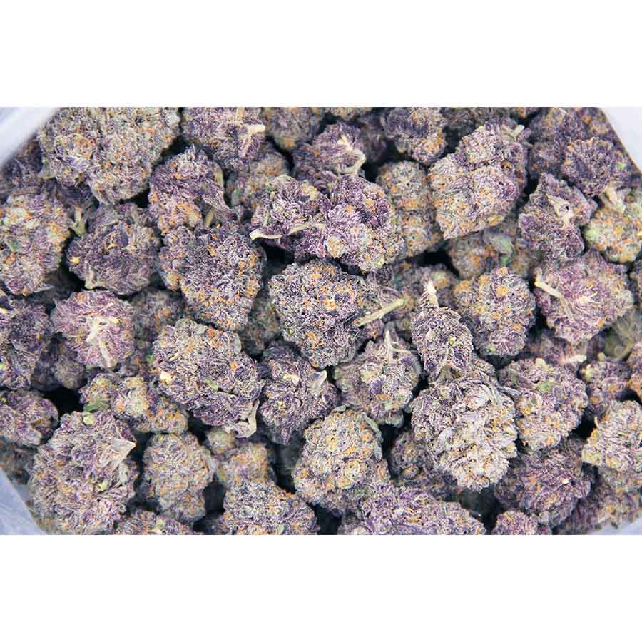 Slurricane AAA bag bgbso