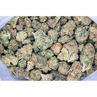 Dutch Treat AA bag bgbso
