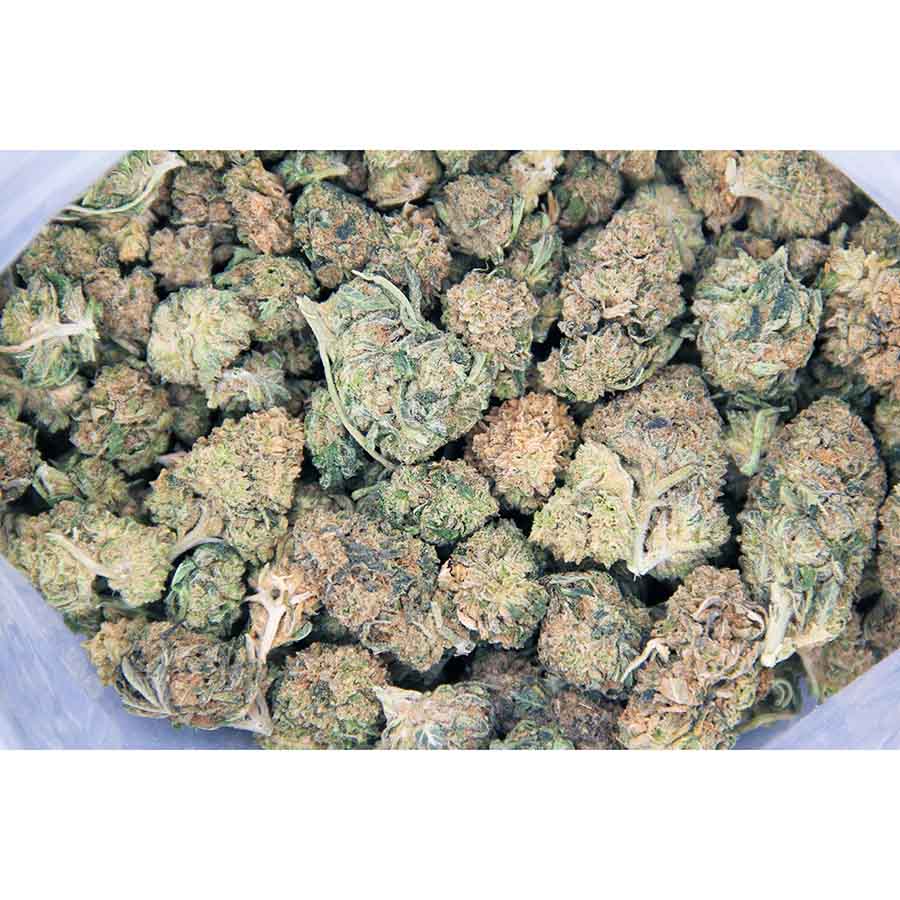 Dutch Treat AA bag bgbso