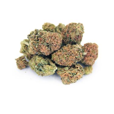 Dutch Treat AA bgbso