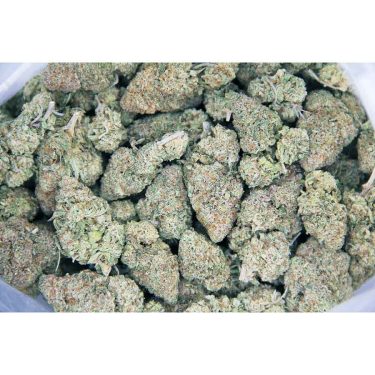 Girl Scout Cookies AAA bag bgbso