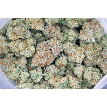 Lime Skunk AAA bg bag