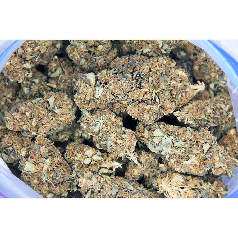 Citrus Haze AA bag bgbso