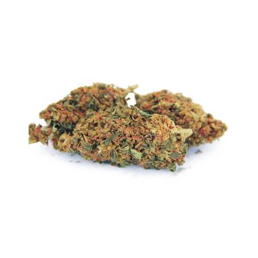 Citrus Haze AA bgbso