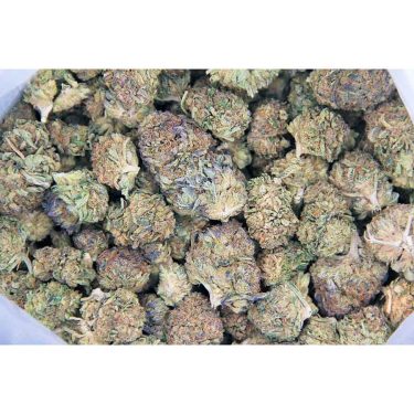 Deep Breath AA bag bgbso