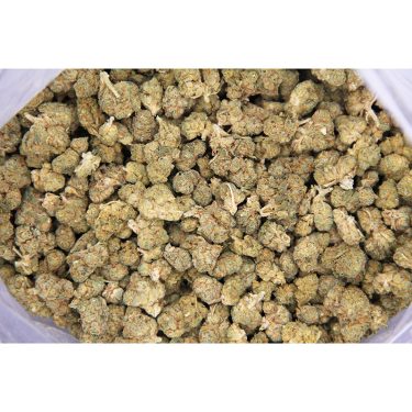 Northern Lights (smalls) AA