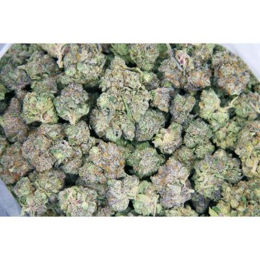 Pink Goo AAA bag bgbso