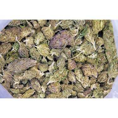Purple Haze (smalls) AA bag bgbso