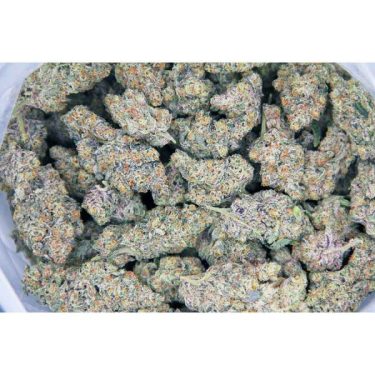 Cheese Wiz AAAAbag bgbso 600x600