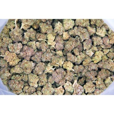 DJ Short Blueberry (mediums) AA bag bgbso