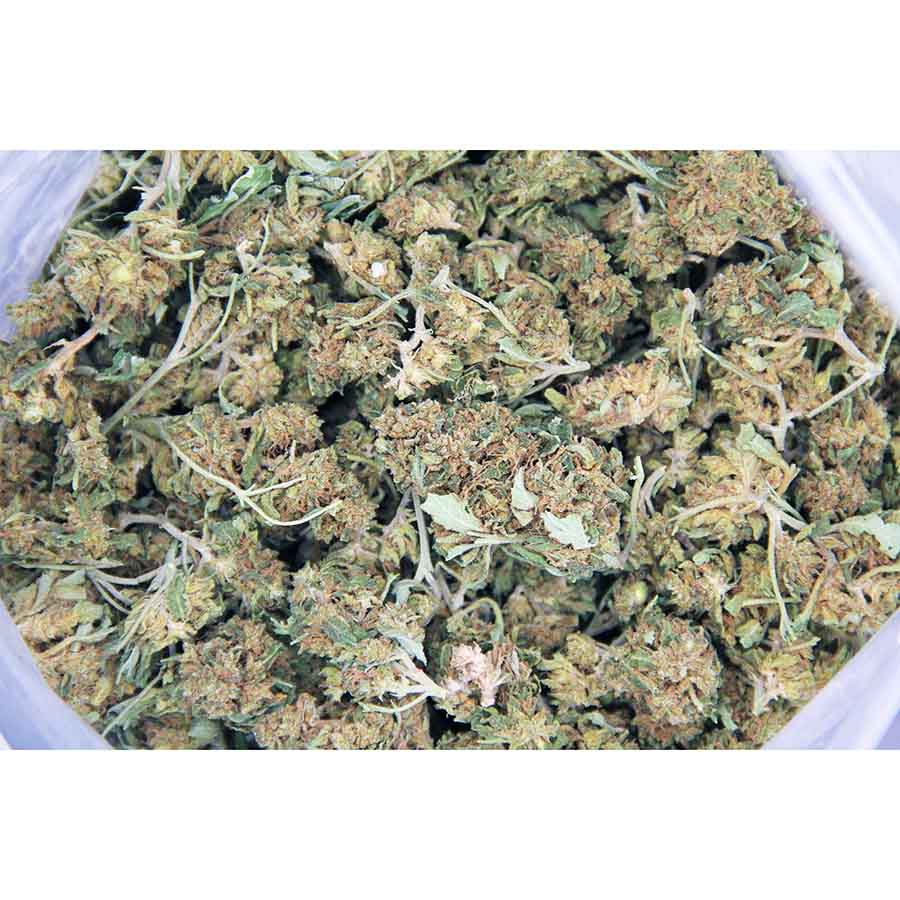 Hawaiian Romulan AA bag bgbso