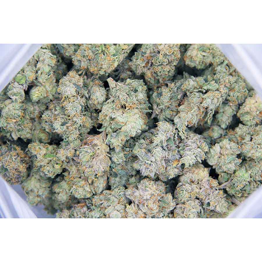 Jokerz AAA bag bgbso