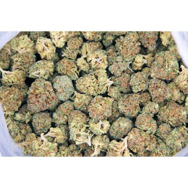 Skywalker (mediums) AA bag bgbso