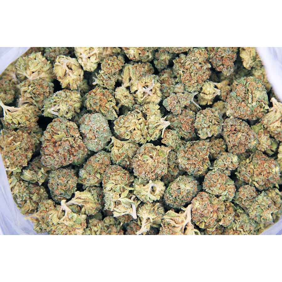 Skywalker (mediums) AA bag bgbso