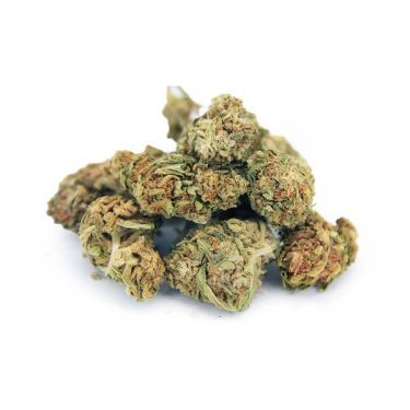 Choco Hashberry AA bgbso