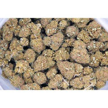 Colombian Gold AA bag bgbso