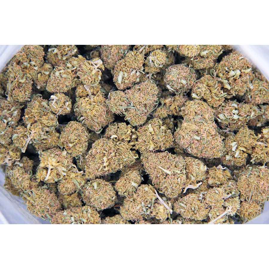 Colombian Gold AA bag bgbso