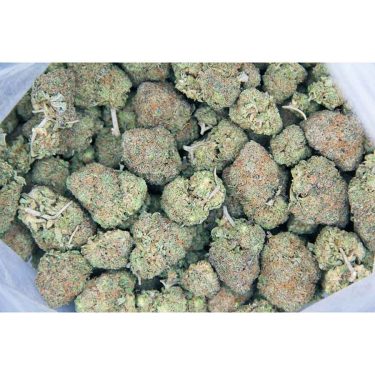 Lemon Tart AA basg bgbso