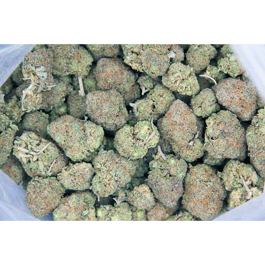 Lemon Tart AA basg bgbso